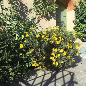 https://casa-mita.it-tuscanyhotel.com